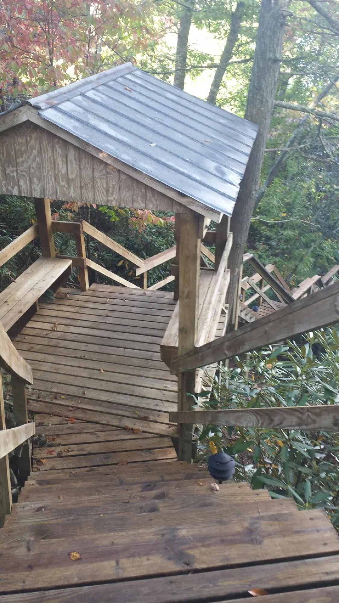 Metal roofed shelter over wooden steps on a wooded walkway — Skylight Repair & Installation work by our crew in Queen Anne